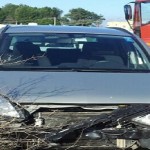 auto incidente cane