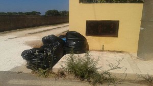 rifiuti costa adriatica3