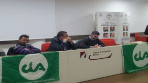 assemblea cia