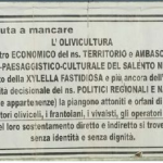 manifesto xilella