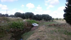 auto panda nel canale