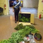 FOTO CARABABINIERE CON MARIJUANA SEQUESTRATA