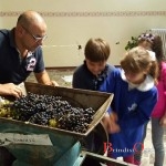 vendemmia a scuola brindisi 4