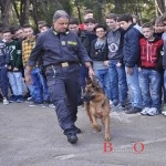 guardia di finanza cane antidroga giorgi