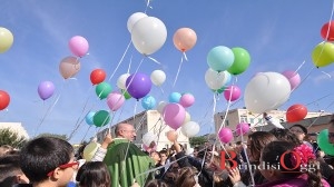 palloncini paradiso