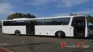 stp brindisi nuovi autobus scania 2