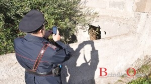 buco casa luperti