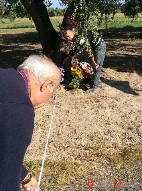 Foto a pagina intera