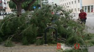 ramo piazza sapri a brindisi